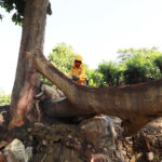 Gobierno Nacional activa Plan de Contingencia para la atención de vías en primera temporada invernal del año