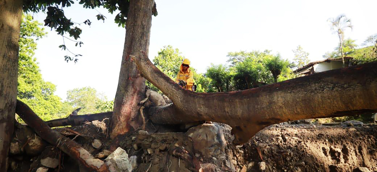 Gobierno Nacional activa Plan de Contingencia para la atención de vías en primera temporada invernal del año